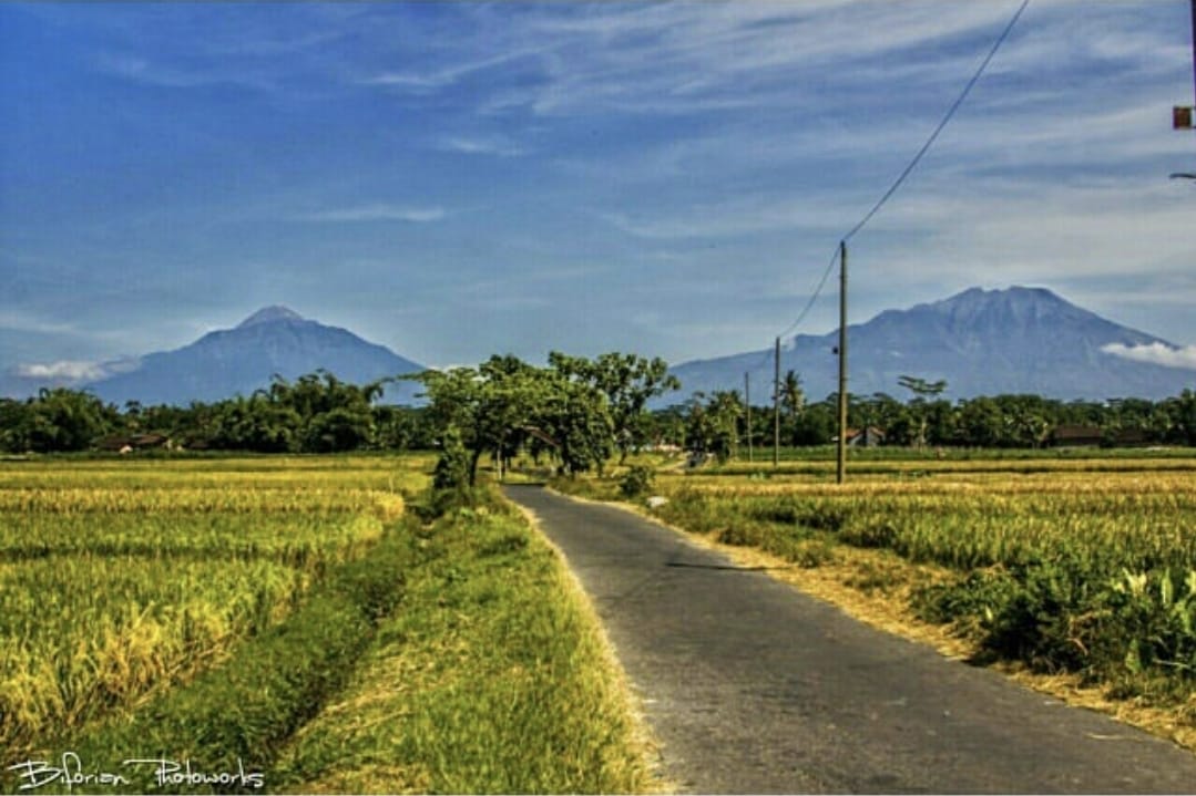 Danuwuh landscape